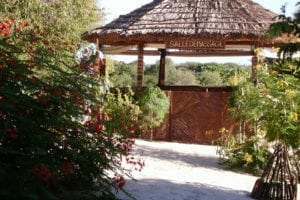L'hôtel de La Plage Ifaty Tuléar