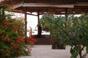 L'hôtel de La Plage Ifaty Tuléar