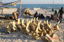 Montagne de tente sur la plage