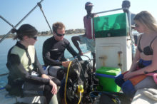 We stop this activity at the hotel Plage Tuléar (divers customers in nearby clubs.)