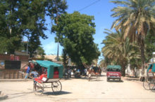 Les fameux pousse-pousse de Madagascar
