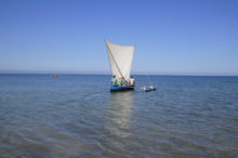 Promenade en pirogue